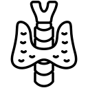 Tele Endocrinology